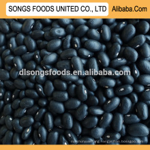 Black kidney beans high protein